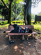 �É��@����