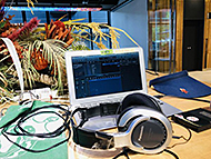 �o��ŉ�������01