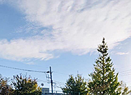 �F�����l/�������Ȃ�10��