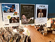 ��q�s�R�~���j�e�B�J�t�F�������