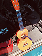 ��q�s�R�~���j�e�B�J�t�F�������