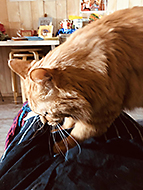 �Q�n�a��Casa Midori