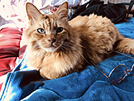 �Q�n�a��Casa Midori