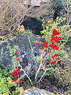 ���������X���[�Nvol.1