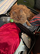 �Q�n�a��Casa Midori