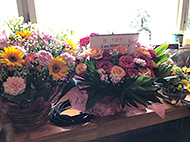 �Q�n�a��Casa Midori