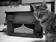 �݂�̃X�^���v