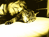 �݂�̃X�^���v