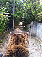 �݂�̃X�^���v