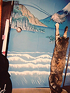 �݂�̃X�^���v