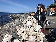 �C�s������A�C