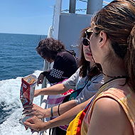 �C�s������A�C