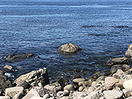 �C�s������A�C