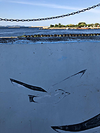 �C�s������A�C