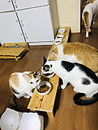 �b�ߎs ���y��[�Ƃ��΂�