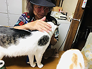 �b�ߎs ���y��[�Ƃ��΂�