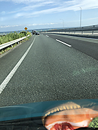 ���S VOODOO LOUNGE