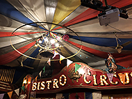 �l���r�X�g���T�[�J�X