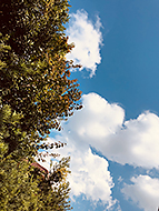 �_�� �O�{�@BAR��