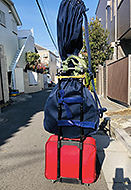 ���Ȃӂ��񏉓o�ꃏ���}��