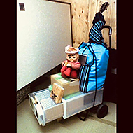 �I�O���N���V���[�Y����12