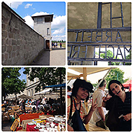 �I�O���N���V���[�Y����18