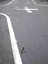 �q���Ət��