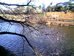 �r�j�[���P